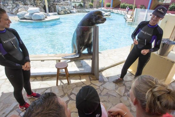 marineland_rencontre
